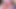 Seksi tgirl yeme kedi ve kahrolası
