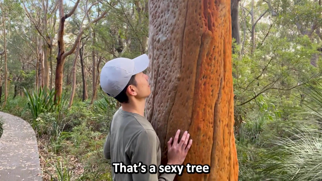 Ep 274. Dirty Dishes.