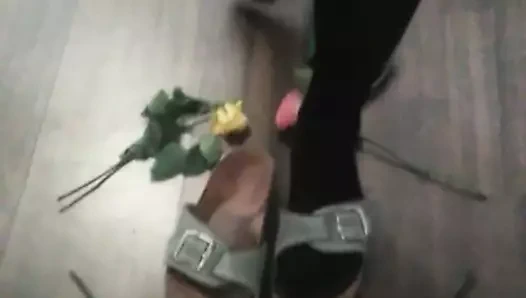 Naylon ayaklar, ayakkabı koleksiyonu çorap külotlu çorap