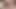 Döküm bu büyük memeler tavşan süre takin horoz anal seks