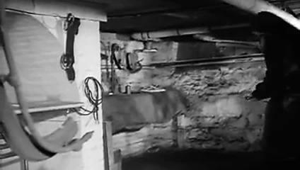 Kaltak işine geri döndü