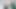 Pakistanlı Hint bengalcesi tiktok