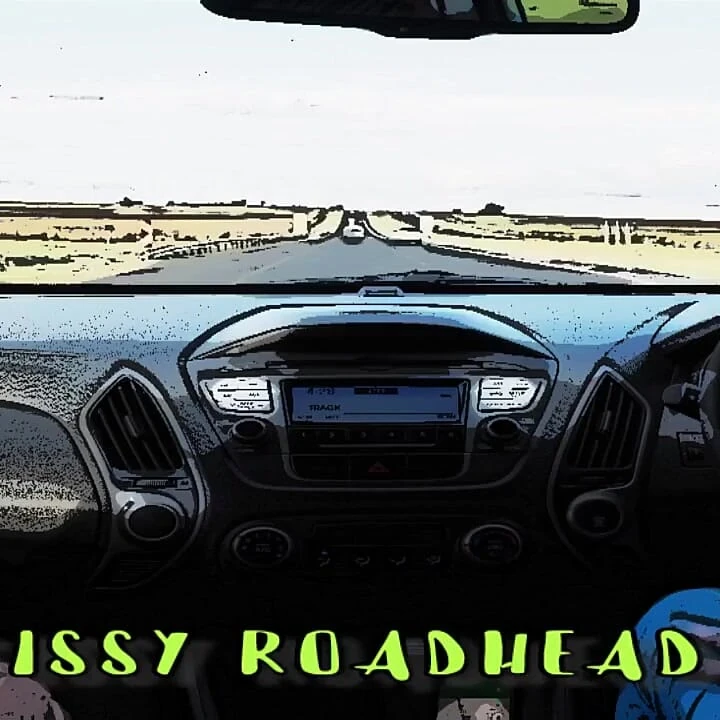 Brandy the Homo Shemale Breaks in a Sissy Roadhead Style