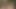 Eşcinsel masaj baştan çıkarma oral seks