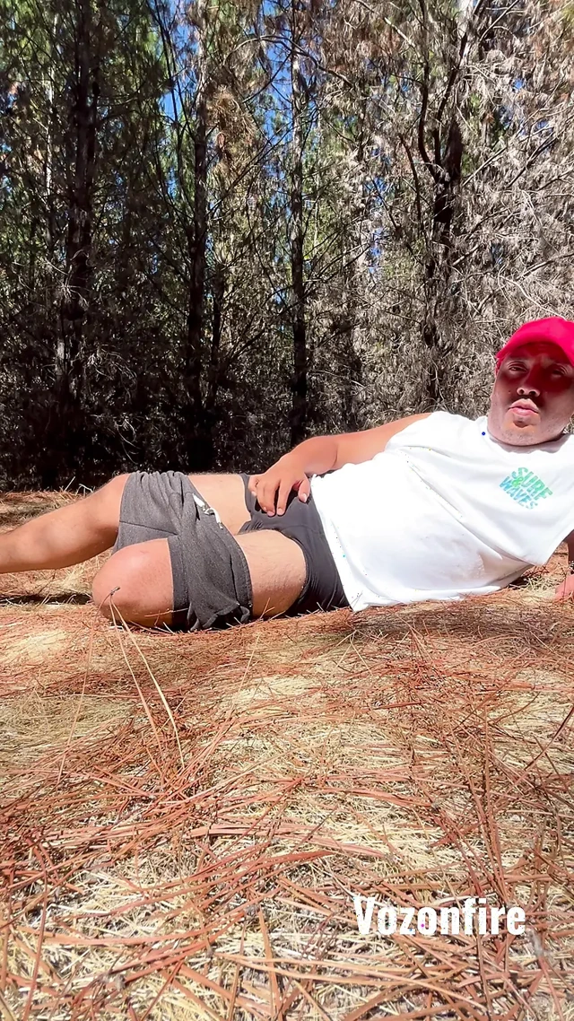 Gizli Orman'da Yalnız Bakış Açısı