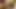 Tam video Meksikalı doğum günü kızı bugün beni gerçek ev yapımı porno evine davet ediyor