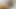 Sissyboy ırklararası büyük zenci yarağına biniyor ve küçük bayan yarağını kırbaçlıyor