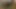 İnşaat babası amber'i ziyaret ediyor
