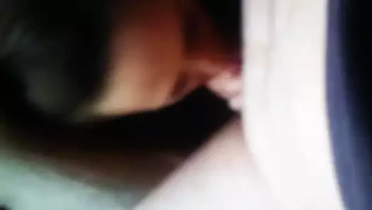 Timmy ve kat swank otel Başlarken horoz emdi