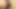 Porno inek: Sydney: ırklararası amcık