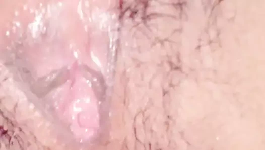 Bristy kedi gösteri