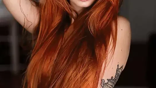 Değerli zencefil 1528