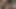 Sevimli orta yaşlı seksi kadın domalıyor ve erkeğinin yumuşak götlü hatunu öpmesine izin veriyor