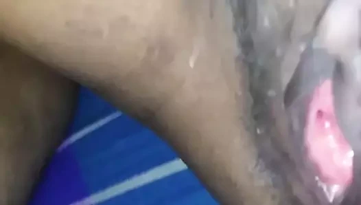 Sri lankan kedi becerdin