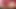 Sakallı kızlar sert dildo kullanarak lezbiyen oyunları oynuyor