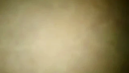 benim tombul ev hanımı