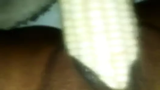 mısır yiyici