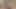 Halley Hill şehvetli bir kolej oral seksi için büyük sert bir yarağı kırbaçlıyor