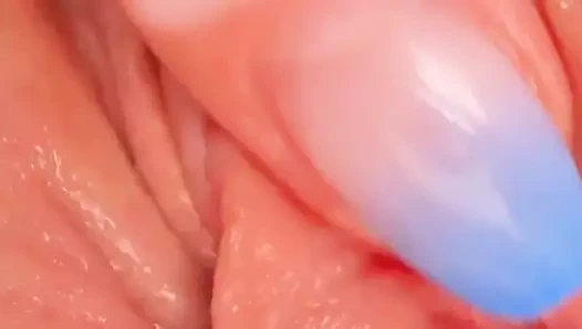 Aşırı kedi kapatmak