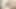Sarışın gergin üniversiteli genç kız porno oyuncu seçmelerini deniyor: irina 18 yaşında ve çok gergin!