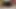 3'lü porno - beyaz bir bebek ve büyük memeli siyah sert sikiliyor