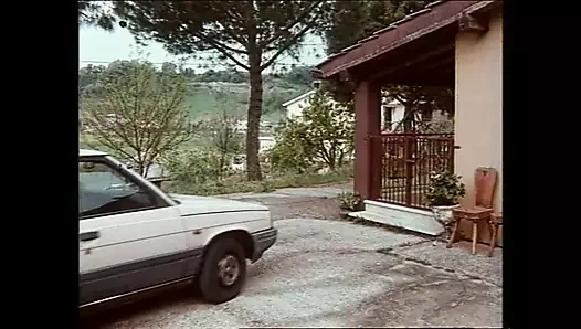 CHAMPAGNE_SOFT (tam film)