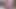 Tad Pole's Camera of the Exxxotica Orgy with 5 Babes and 5 Guys