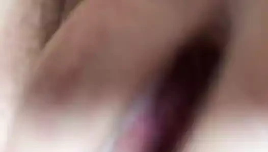 horoz hakkında düşünmek 2