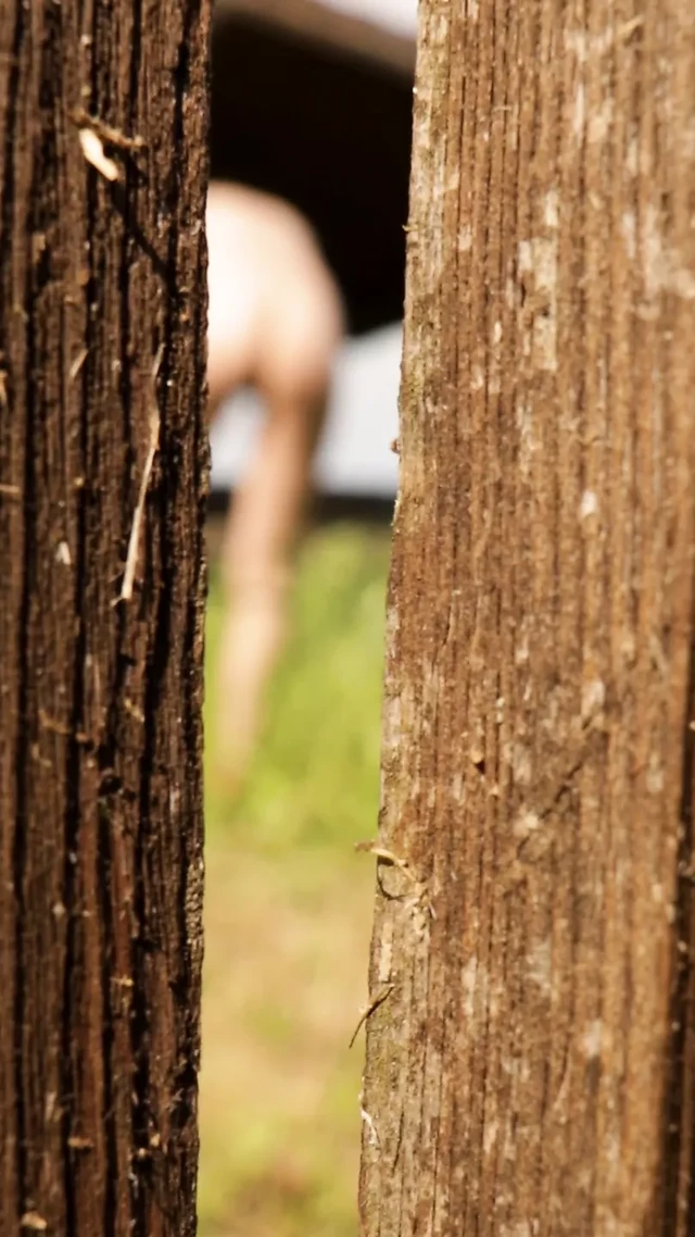 Лето - сезон вуайеристов