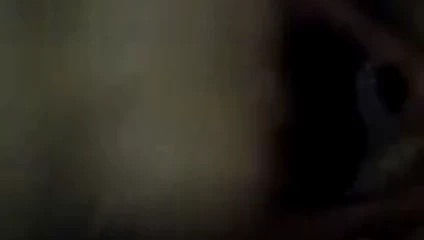köpek stili