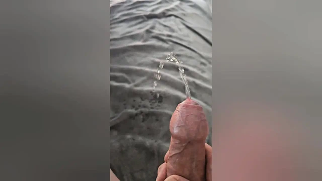 Ormanda, kanepede, lavaboda her yere işiyor