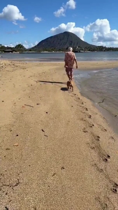 Paiko Fishpond, East Oahu, Hawaii | Klip 1