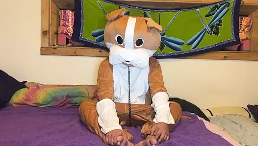 Furry Love - Cliff Media Productions