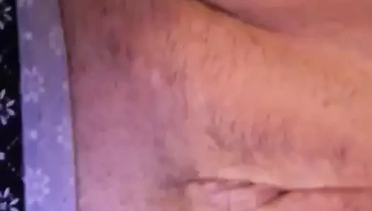 olgun kedi traş ile oynuyor