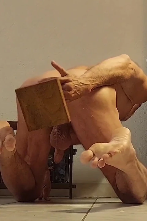 Hayran Videoları