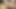 Kızların yüzüne en iyi travestiler cumshots