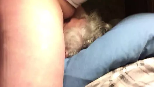 Daha fazla yastık şekeri 12319