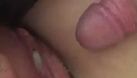 izle benim KEDİ almak dolu