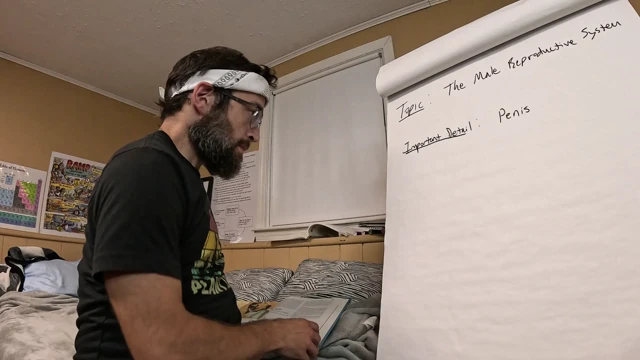 Anatomi dersi videosu erkek orgazmının yanlışlıkla gösterisine dönüşüyor