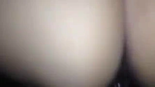 lanet bu meksika kaltak