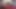 Casting BBW Zia, Desperate Amateurs