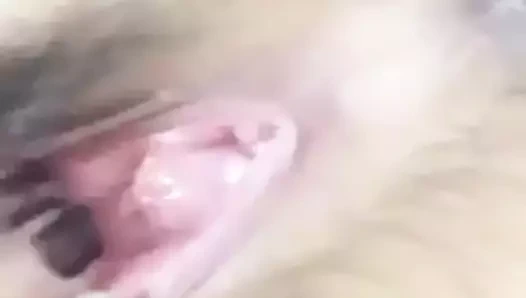 kıllı KEDİ ovmak inilti