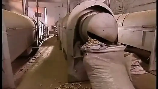 2 sürtük işçiyle depoda sikişiyor