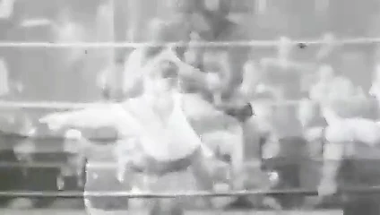 kedi dövüşü bebekler