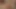 Güzel genç gilrs oynama ile bir büyük kırmızı yapay penis