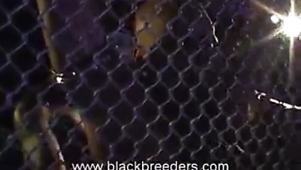 Siyah kod, iv hareket