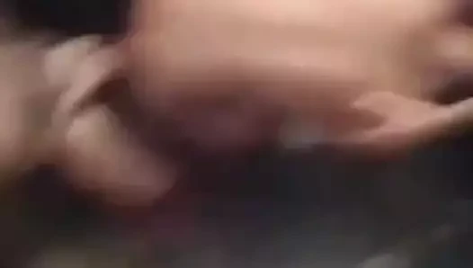 Presos del Cerezo 12