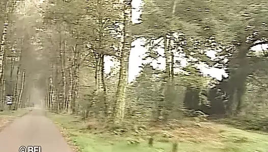 Hollandalı kızlar - evli çiftler 1