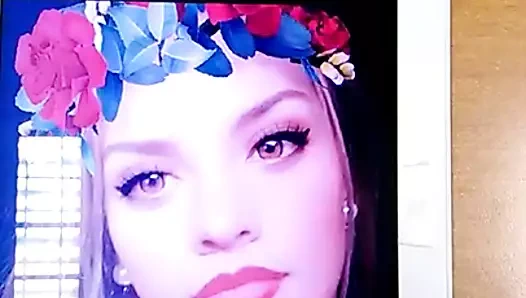 haraç brüt gaule ayrıcalık