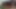 Seksi kalın popo milf becerdin köpek